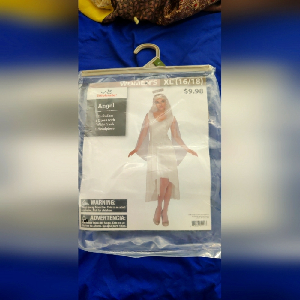 Adult angel costume